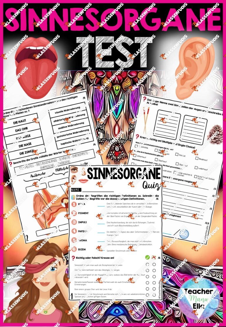 Sinne & Sinnesorgane Test | Quiz & Arbeitsblätter – Differenzierte Herangehensweise